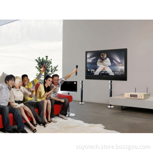 Hifi Wireless Microphone System for Karaoke, Conferences, Classrooms